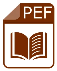 pef file - Portable Embosser Format Book