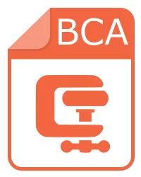 bca файл - Jetico BCArchive Encrypted Archive