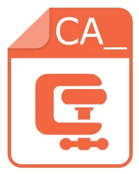 ca_ 文件 - Compressed Microsoft Cabinet File
