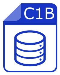 c1b файл - Digital Tachograph Data