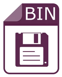 bin fil - CDRWIN Binary Data File