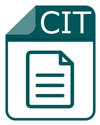 citファイル -  BibExcel Cited Document