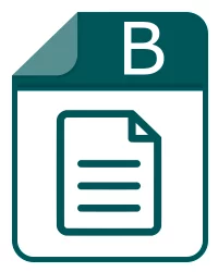 Arquivo b - IRIS Editor Shortened Format File