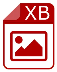 xb 文件 - XBin Image