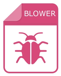 File blower - Blower Ransomware Encrypted Data