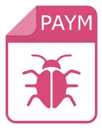 paym file - Jigsaw Ransomware Encrypted Data