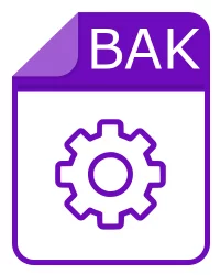 bak file - Backup Copy File
