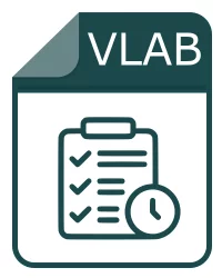 vlab file - VisionLab Studio Project